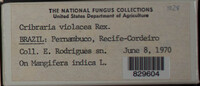 Image Associated With the Occurence